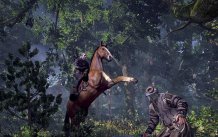 media/24/witcher3_bilderna_692441t.jpg