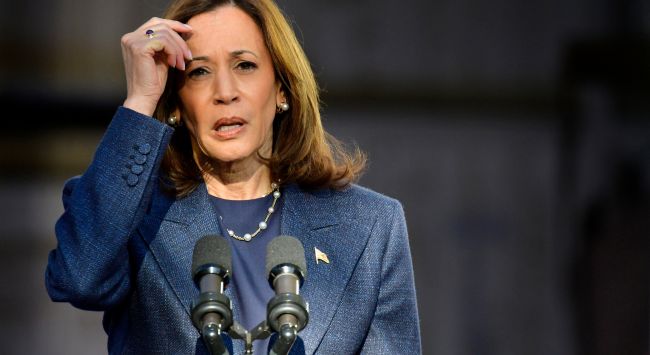 Kamala Harris mener, at det politiske system er 