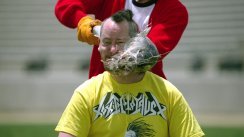 media/30/jackass3_243004t.jpg