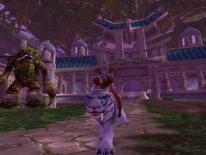 Et bundt screens fra World of Warcraft