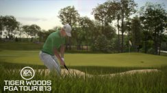 media/32/laekretigerwoods_293221t.jpg