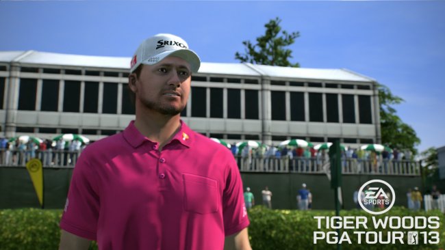 Tiger Woods PGA Tour 13