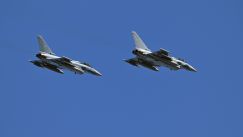 media/32/romaniascramblesfighter_4733223t.jpg