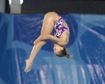 media/32/ukraniandivercauses_4753233t.jpg