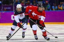 media/33/canadausafight_4813323t.jpg