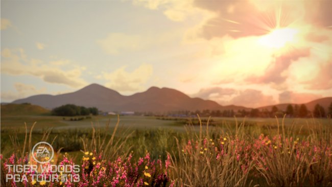 Tiger Woods PGA Tour 13