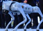 Robothunde vil vogte VM 2026