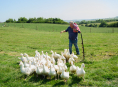 Her er den sidste trailer fra femte s&aelig;son af Clarkson's Farm
