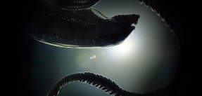 media/36/nyttalien_spel_satt_2333603t.png
