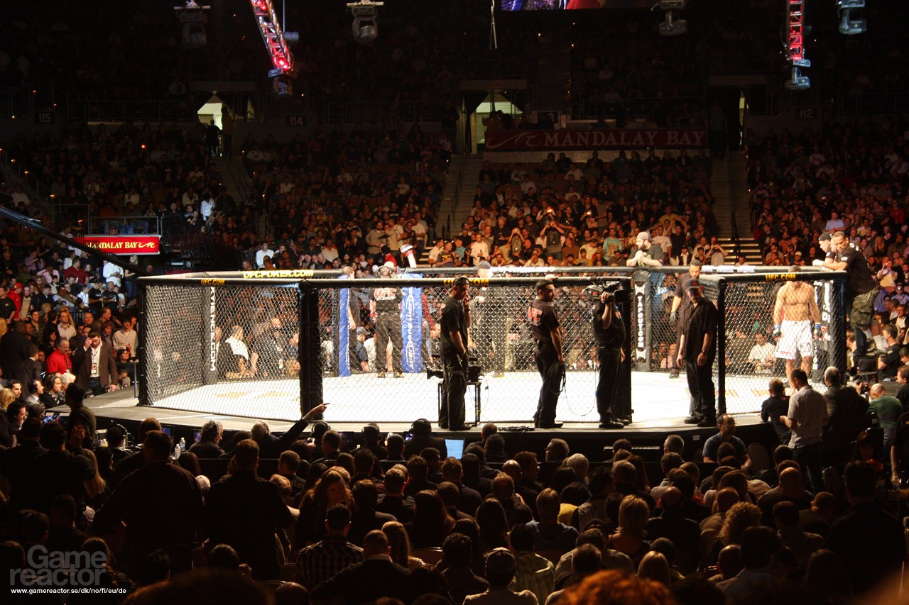 UFC 2010 Undisputed