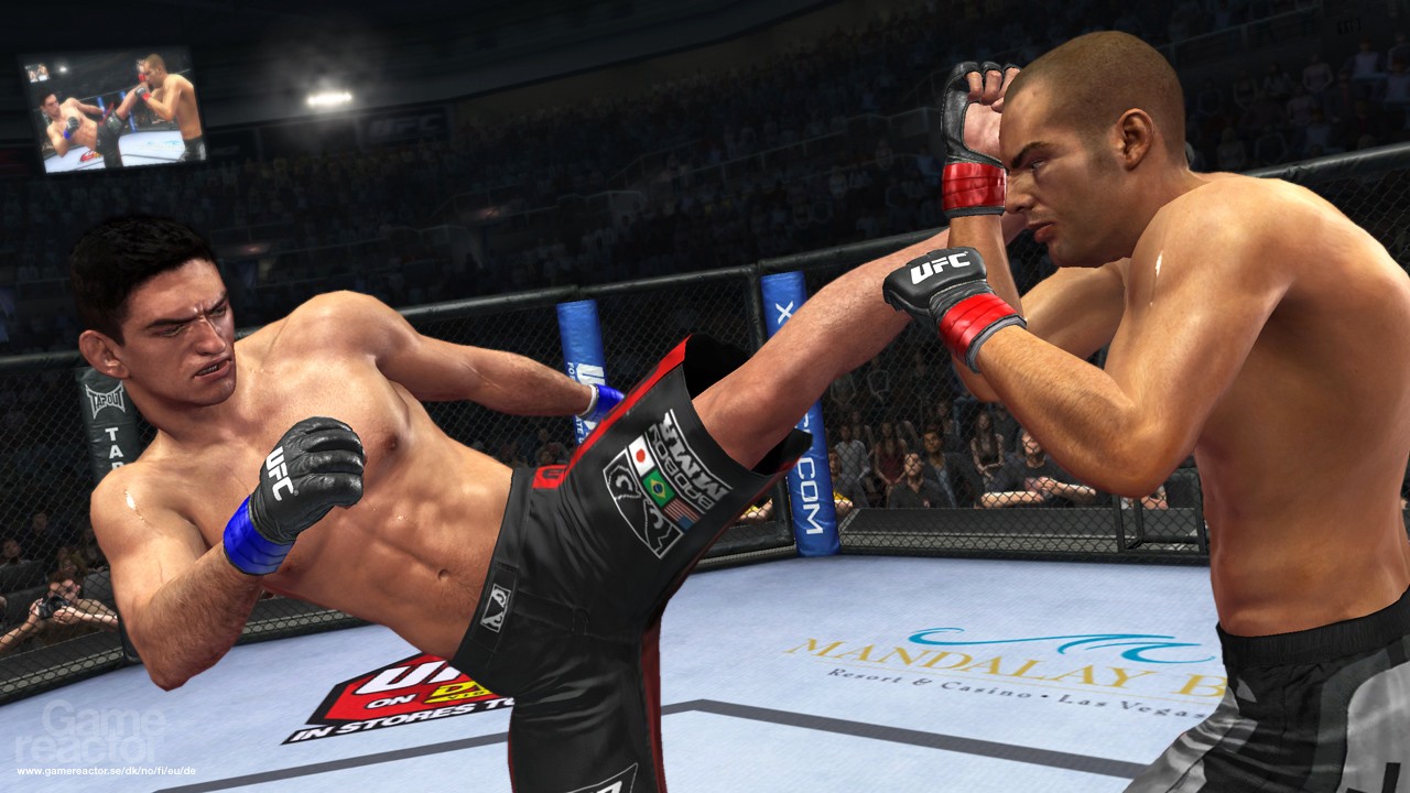 UFC 2010 Undisputed