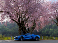 Forza Horizon 6 n&aring;ede mere end 300.000 samtidige spillere p&aring; Steam hen over weekenden