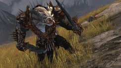 Guild Wars 2 interview - del 2