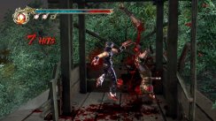 media/37/ninjagaiden2_153729t.jpg