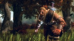media/37/viking_143710t.jpg