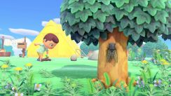 media/38/animalcrossing_3113853t.jpg
