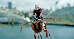 media/38/ant_manwasp_3363893t.jpg