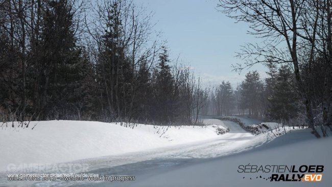 Sebastien Loeb Rally Evo