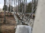 Polen planl&aelig;gger at l&aelig;gge millioner af landminer langs sin &oslash;stlige gr&aelig;nse mod Rusland og Hviderusland