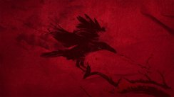 media/38/rainbow6_1903813t.jpg