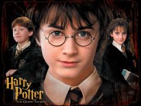 media/39/legoharrypotter_183929t.jpg