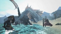 media/40/nyedragonsdogma_1384044t.jpg