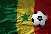 media/40/senegalappealremoval_4844093t.jpg