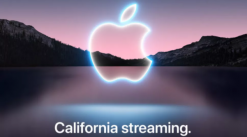 media/42/_3574293t.png