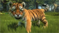 media/42/kinectimals_214250t.jpg