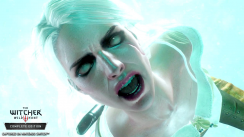 media/42/witcher3_2874203t.png