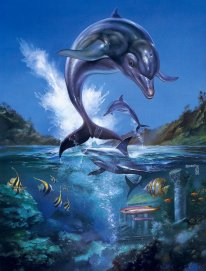 media/43/ecco_delfiinitekeepaluun_564311t.jpg