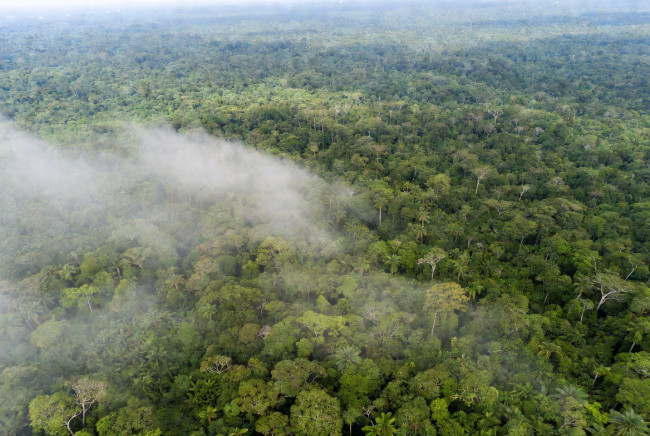 Et kraftigt fald i antallet af brande i Amazonas giver nyt håb om en vending