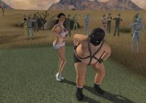 Related Image