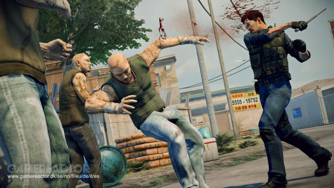 Sleeping Dogs