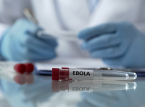 Ebola-epidemien kan vare et &aring;r, forudser R&oslash;de Kors
