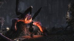 media/47/evolve_1164774t.jpg