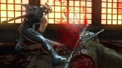 media/47/ninjagaiden2_billeder_144748t.jpg