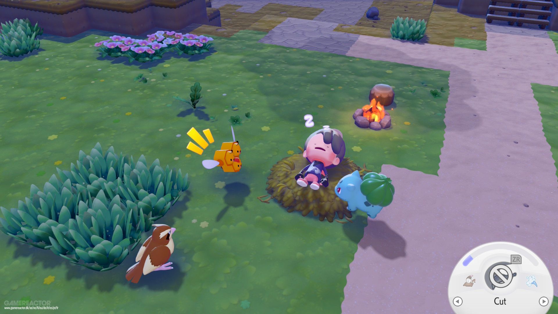 Pokémon Pokopia