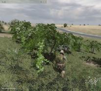 Related Image