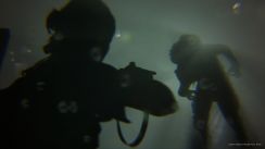 media/49/lastus_2974973t.jpg