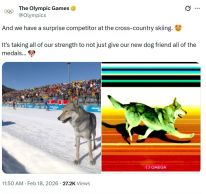 media/49/localgoodboy_4814943t.jpg