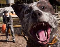 media/51/farcry5_oppdatering_2515183t.jpg