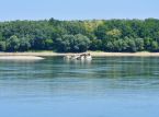 Sunkne nazistiske krigsskibe dukker op efter rekordlave vandstande i Donau