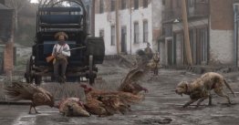 media/51/trailerzeigterstes_1895113t.jpg