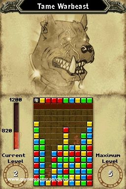 Puzzle Chronicles
