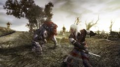 media/55/witcher_175509t.jpg