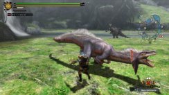 Monster Hunter 3 Ultimate - Wii U