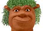 En Chia Pet-film eller serie er under udvikling
