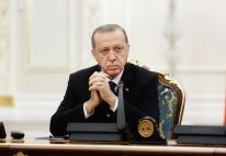 media/63/turkeyeyessyrian_4496333t.jpg