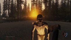 media/64/forest_1226434t.jpg